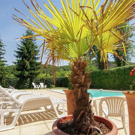 Appealing Apartment In Vezac With Swimming Pool Beynac-et-Cazenac Exterior photo